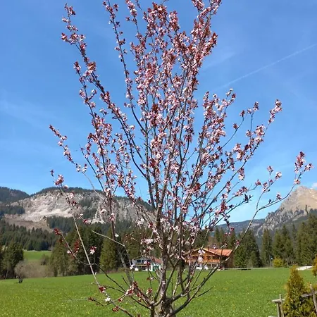 Am Schwand *