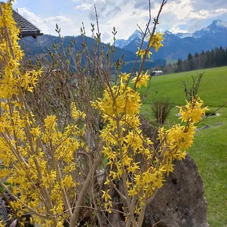 Am Schwand *