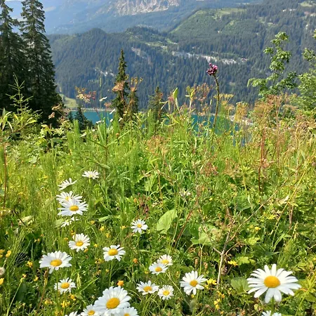 Am Schwand * Grän